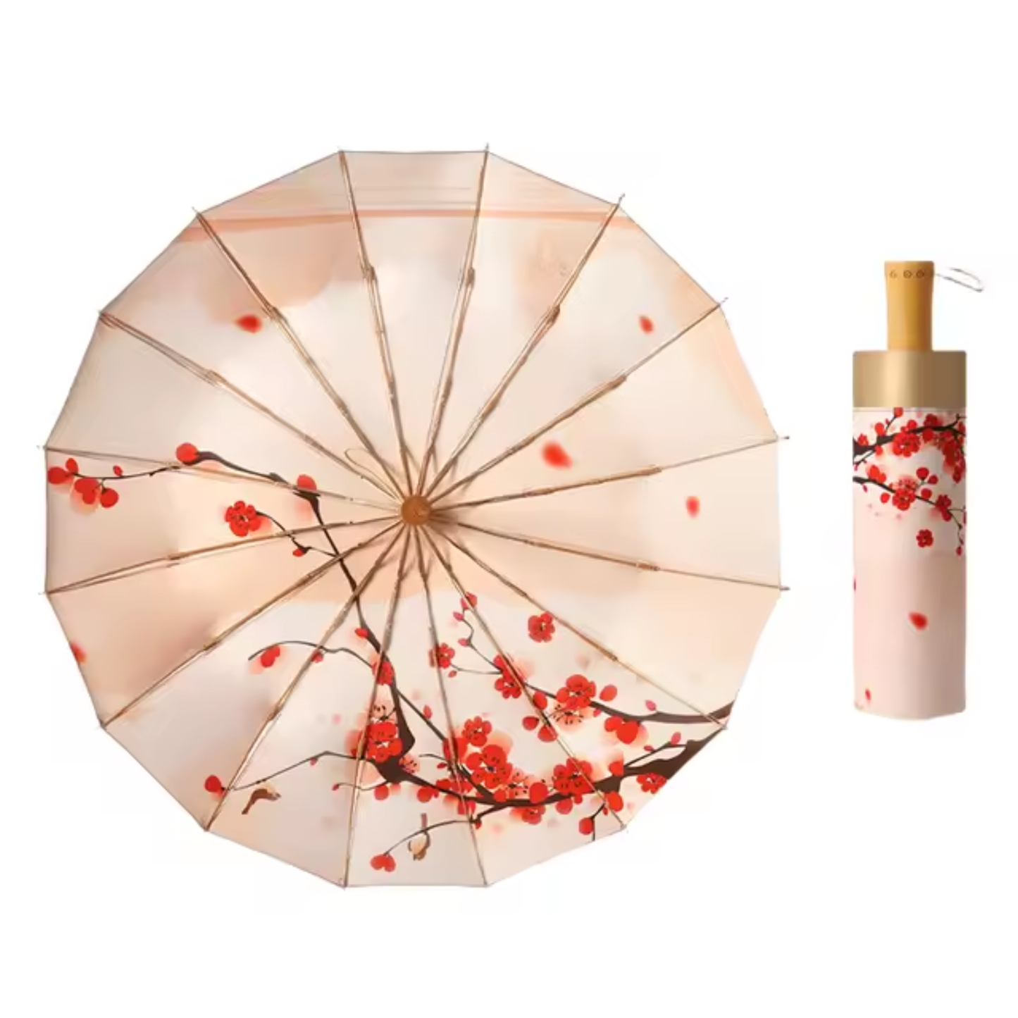 Sakura — Primera Floración Hanami
